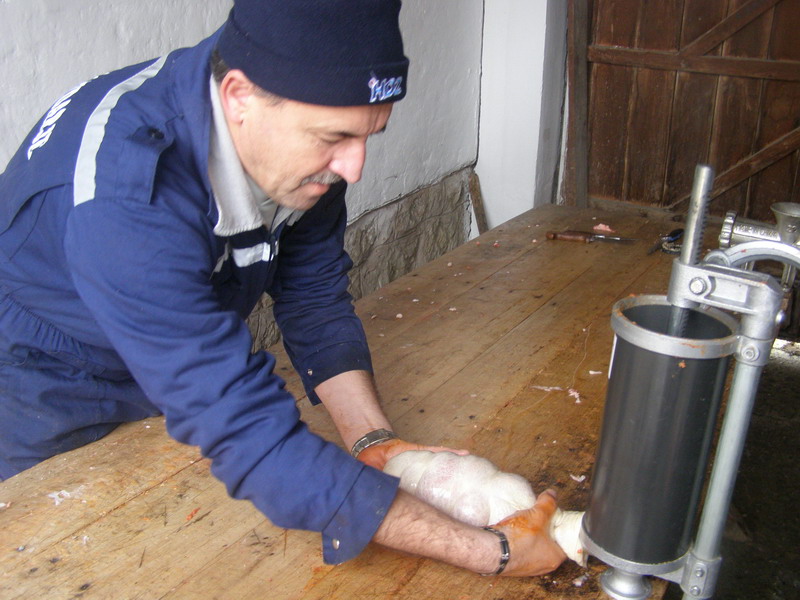 Svinjokolja u Bošnjacima (Foto: Josip Prskalo) Svinjokolja u Bošnjacima (Foto: Josip Prskalo)