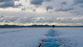 Pozdrav suncu prekriven ledenim pokrivacem 26. studenog 2010, Foto: Leo Banic