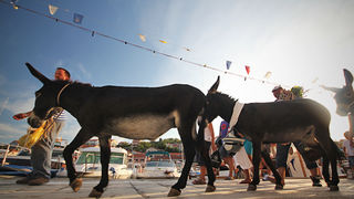 52. Saljske užance, 7. kolovoza 2011.(foto:Saša Čuka)