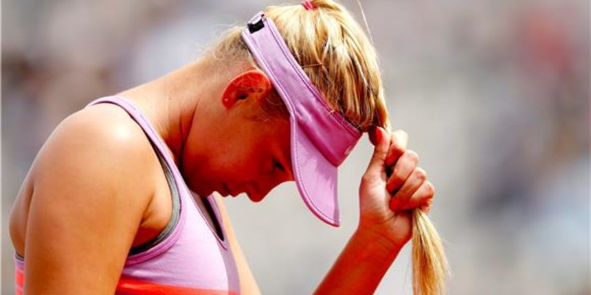 Image 378651 (auto) Image 378651 (auto)