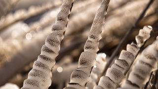 Debeli minusi i orkanska bura zaledili Vransko jezero Debeli minusi i orkanska bura zaledili Vransko jezero