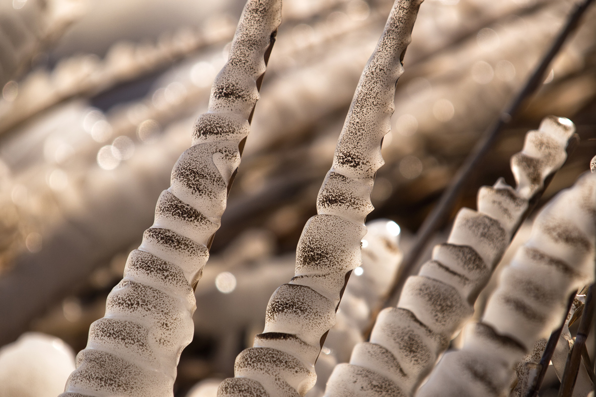 Debeli minusi i orkanska bura zaledili Vransko jezero Debeli minusi i orkanska bura zaledili Vransko jezero