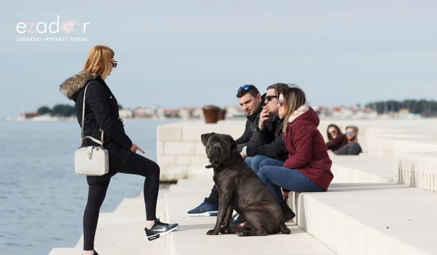 Đir po gradu, ponedjeljak 5. veljače 2018. Morske orgulje, mladi, psi, studenti, oblačno.