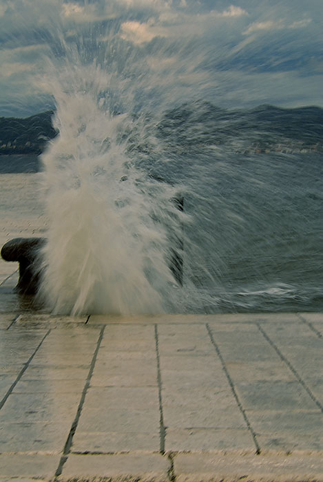 Image 1194637 (auto)