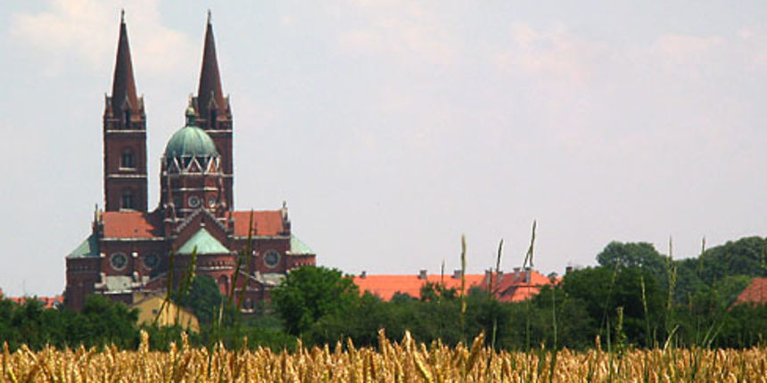 Image 378125 (auto) Image 378125 (auto)