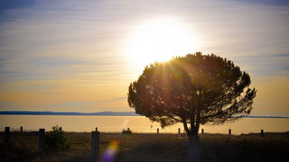Večernji đir po Sabunikama i Kolovarama. Foto: Iva Perinčić