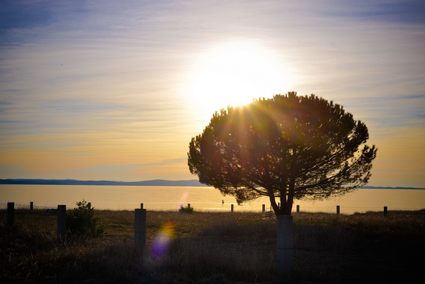 Večernji đir po Sabunikama i Kolovarama. Foto: Iva Perinčić