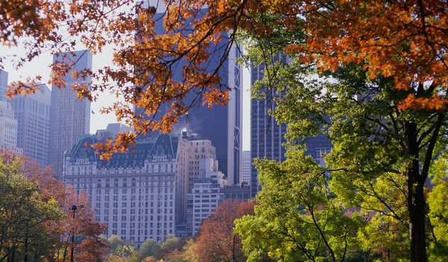 Central Park in Autumn, New York