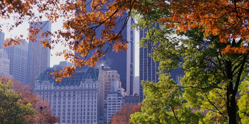 Central Park in Autumn, New York