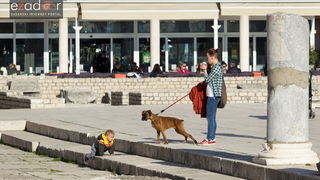 Đir po gradu 14. veljače 2017.