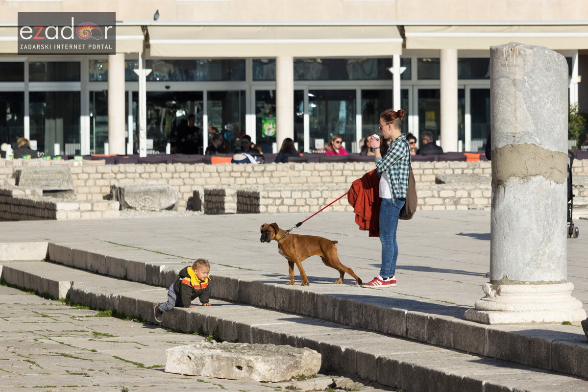 Đir po gradu 14. veljače 2017.