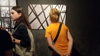 U Ukrajini otvorena izložba Aleksandra Bonačića