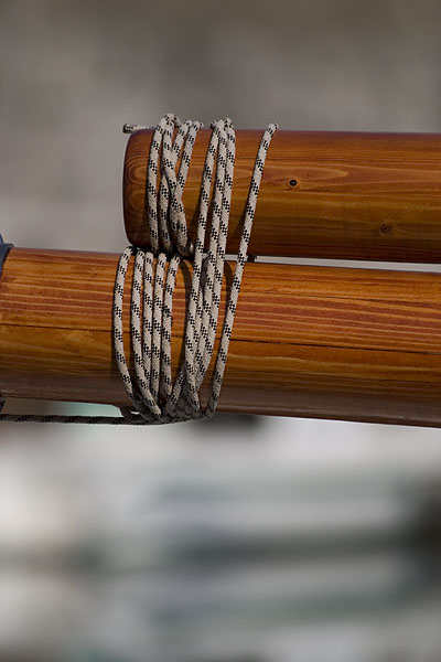 Image 1160145 (auto)