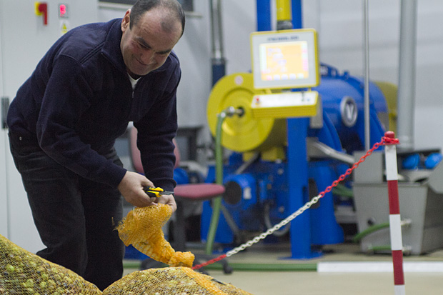 Večer u uljari, Foto: Leo Banić