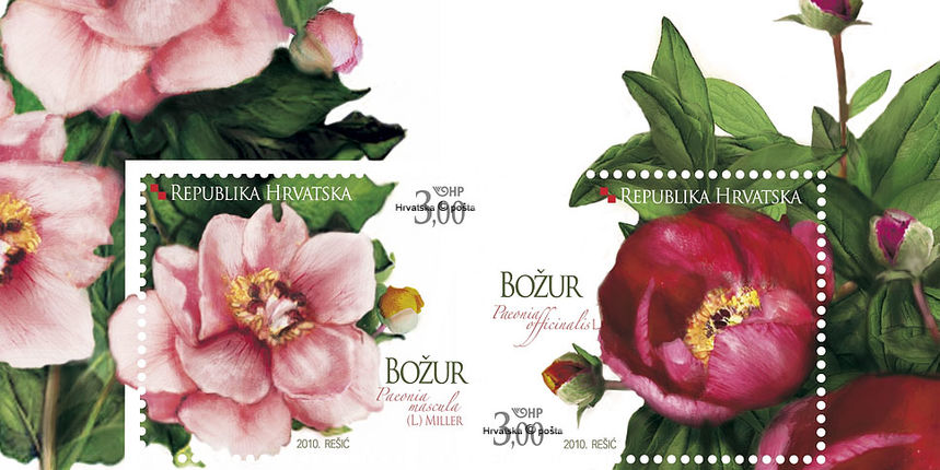 Poštanska marka Božur Poštanska marka Božur