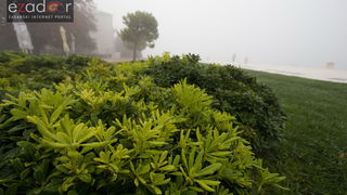 Đir po maglovitom gradu 16. listopada 2017. Đir po maglovitom gradu 16. listopada 2017.