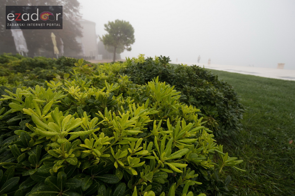 Đir po maglovitom gradu 16. listopada 2017. Đir po maglovitom gradu 16. listopada 2017.