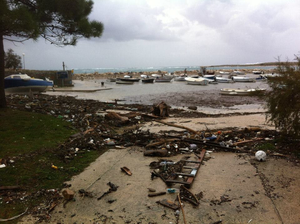 Posljedice juga u Premudi, Foto: Veljko Žuvanić