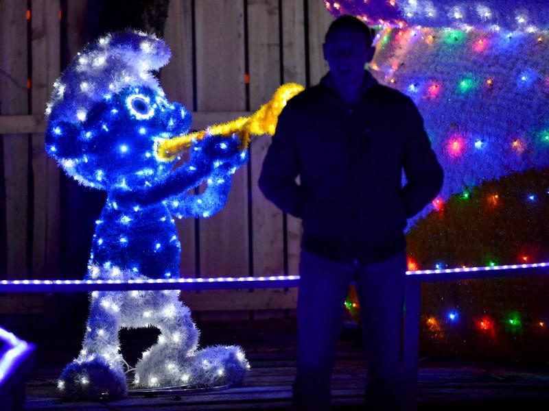 24.12.2014., Cazma, Grabovnica – Obitelj Salaj svoje imanje ukrasila je s milijun i petsto tisuca lampica povodom Bozicnih i Noogodisnjih blagdana. Bozicnu pricu svake godine posjecuju mnogobrojni turisti. Photo: Marko Prpic/PIXSELL