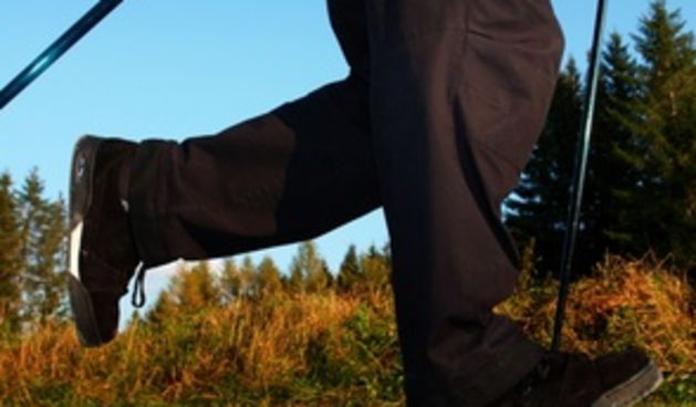 Sportsko hodanje, foto: ordinacija.hr