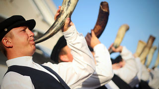 52. Saljske užance, 7. kolovoza 2011.(foto:Saša Čuka)