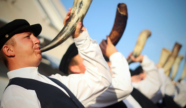 52. Saljske užance, 7. kolovoza 2011.(foto:Saša Čuka)