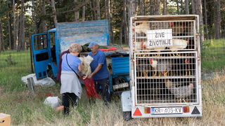 Benkovački sajam 09.06.2021
