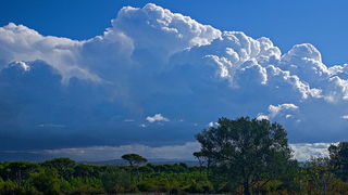 Krajolici zadarskog zaledja