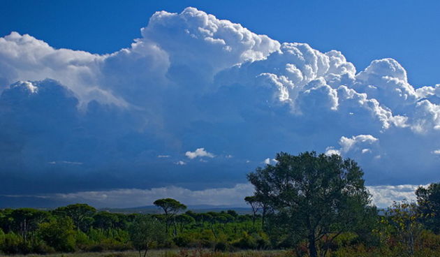 Krajolici zadarskog zaledja