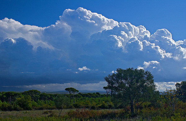Krajolici zadarskog zaledja