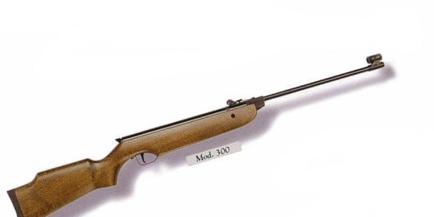 Image 1205493 (auto) Image 1205493 (auto)