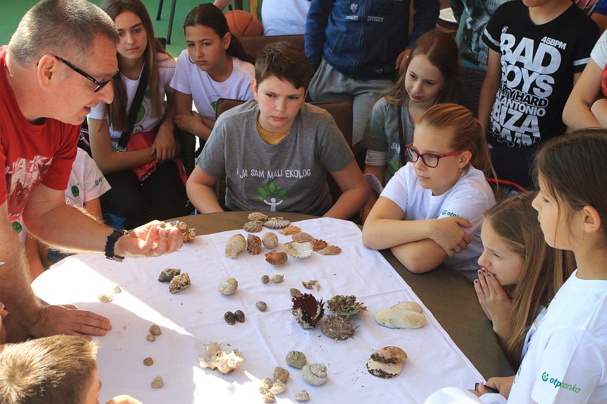 Velika akcija čišćenja podmorja u Bibinjama, foto: L.Banić