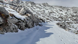 Tulove grede pod snježnim pokrivačem Tulove grede pod snježnim pokrivačem