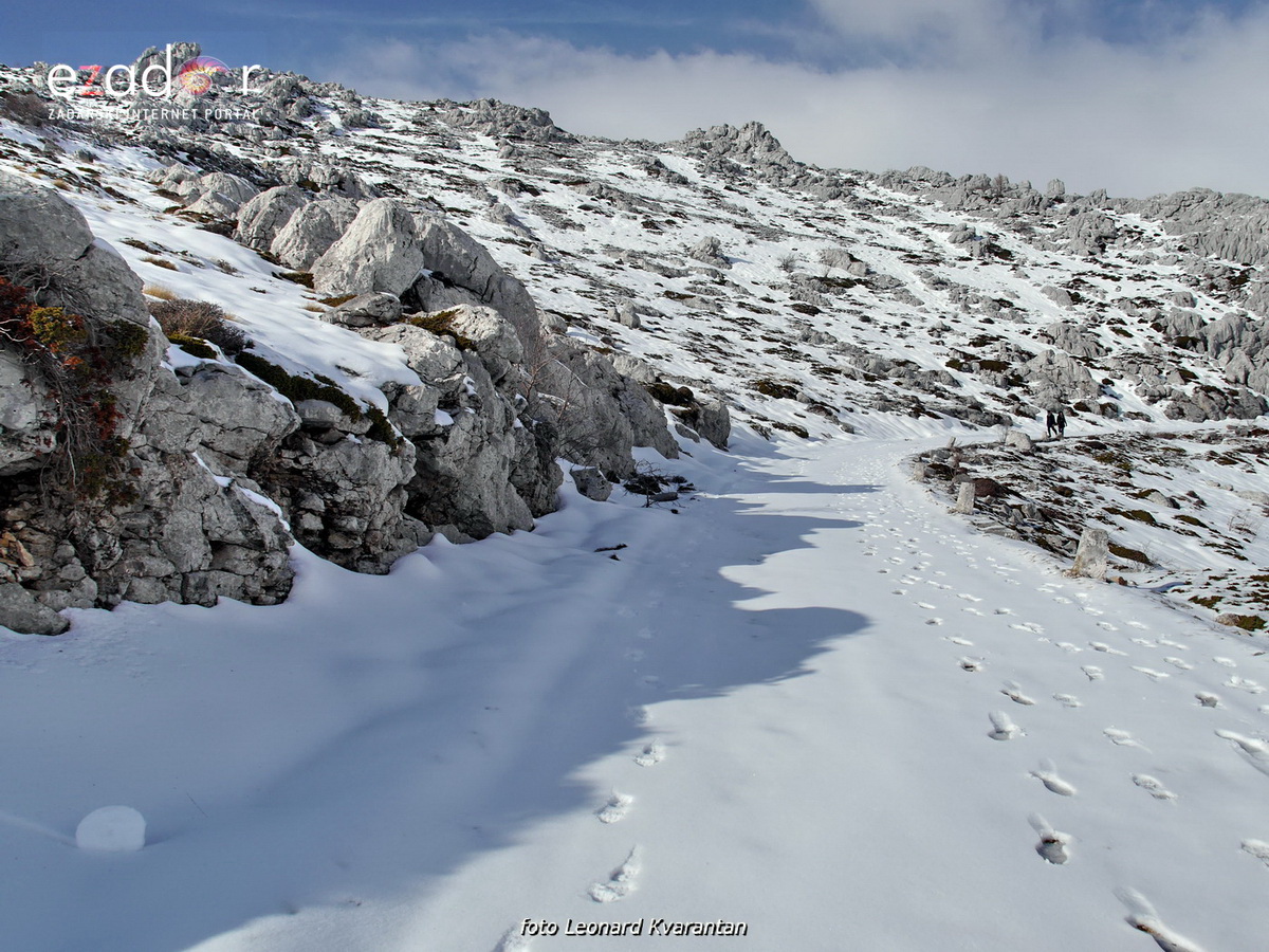 Tulove grede pod snježnim pokrivačem Tulove grede pod snježnim pokrivačem