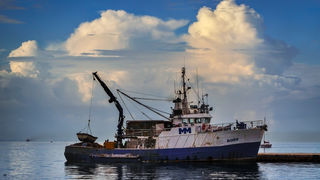 Jesenski đir po gradu, 15. studenog 2014. , foto: Marin Pitton Jesenski đir po gradu, 15. studenog 2014. , foto: Marin Pitton