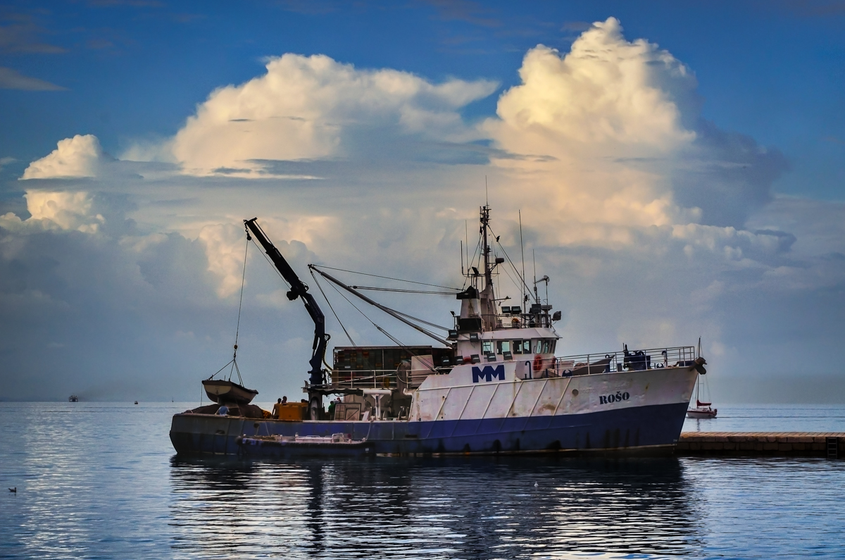 Jesenski đir po gradu, 15. studenog 2014. , foto: Marin Pitton Jesenski đir po gradu, 15. studenog 2014. , foto: Marin Pitton