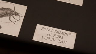 Izlozba A sto ako vam se svidjam? u Gradskoj lozi Izlozba A sto ako vam se svidjam? u Gradskoj lozi