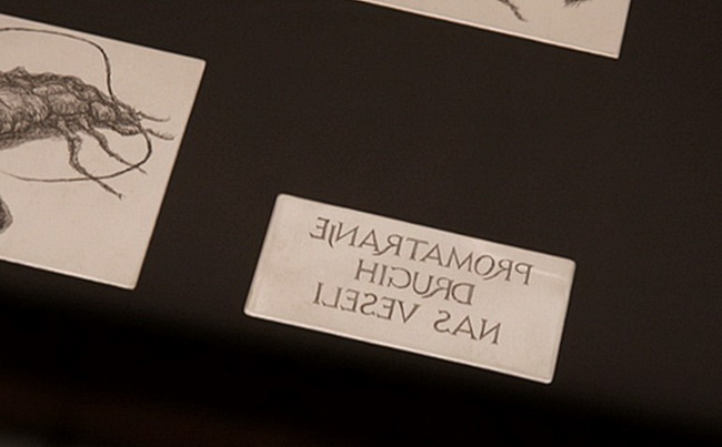 Izlozba A sto ako vam se svidjam? u Gradskoj lozi Izlozba A sto ako vam se svidjam? u Gradskoj lozi