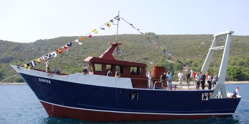 Porinuta kočarica u Lamjani Porinuta kočarica u Lamjani