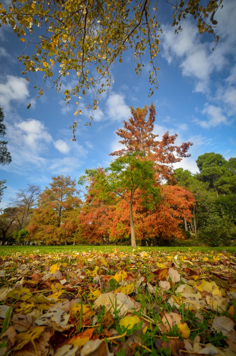Jesenski đir po gradu, 15. studenog 2014. , foto: Marin Pitton Jesenski đir po gradu, 15. studenog 2014. , foto: Marin Pitton