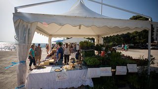 ‘Proizvodi hrvatskog sela – ZADAR 2011.’ (foto:Saša Čuka)