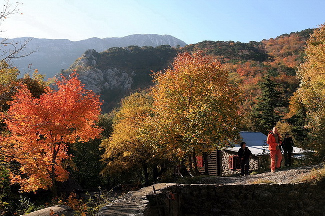Paklenica: Boje jeseni, Foto: Mladen Radolovic Mrlja