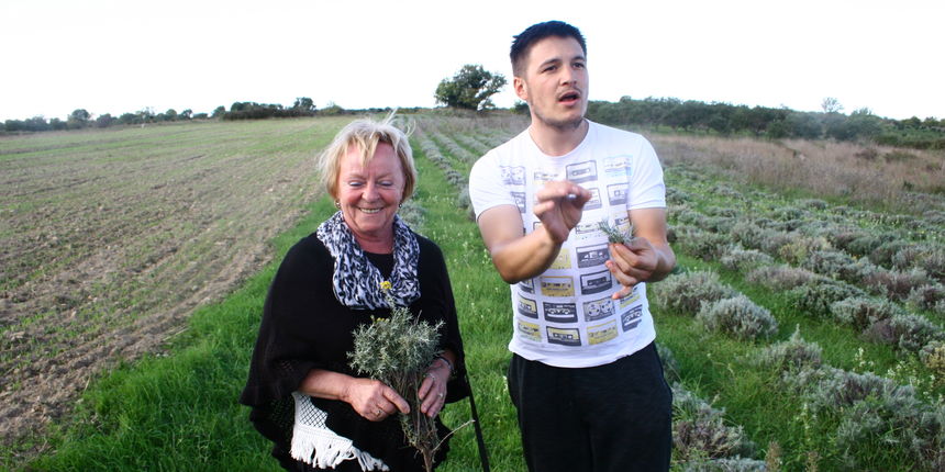 Austrijanci brali masline i pravili rakiju na izletištu Butići