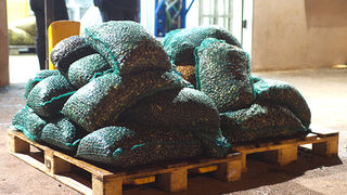 Večer u uljari, Foto: Leo Banić