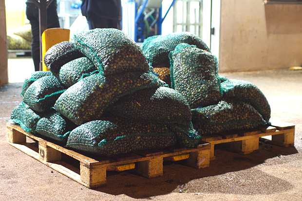 Večer u uljari, Foto: Leo Banić