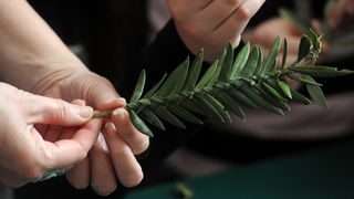 Zadar, 190313.
U prostoru gradske straze organizirana je radionica izrade maslinovih grancica za osnovnoskolce.
Na fotografiji: detalj s radionice.
Foto: Luka Gerlanc / CROPIX Zadar, 190313.
U prostoru gradske straze organizirana je radionica izrade maslinovih grancica za osnovnoskolce.
Na fotografiji: detalj s radionice.
Foto: Luka Gerlanc / CROPIX