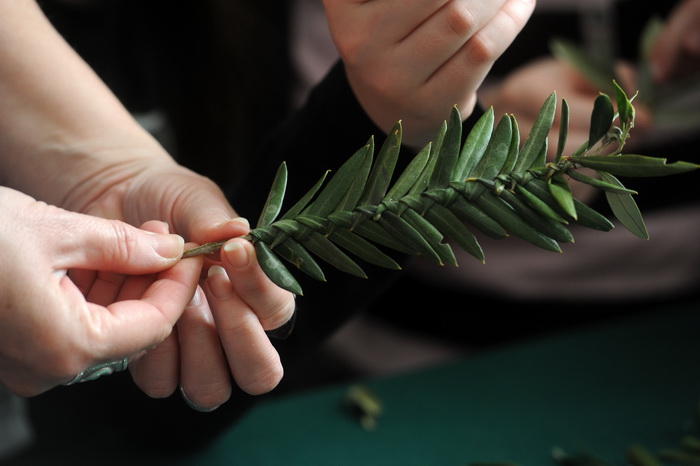 Zadar, 190313.
U prostoru gradske straze organizirana je radionica izrade maslinovih grancica za osnovnoskolce.
Na fotografiji: detalj s radionice.
Foto: Luka Gerlanc / CROPIX Zadar, 190313.
U prostoru gradske straze organizirana je radionica izrade maslinovih grancica za osnovnoskolce.
Na fotografiji: detalj s radionice.
Foto: Luka Gerlanc / CROPIX