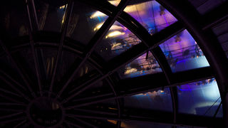 Carski ruski balet Carmen i Bolero, foto: Leo Banic Carski ruski balet Carmen i Bolero, foto: Leo Banic