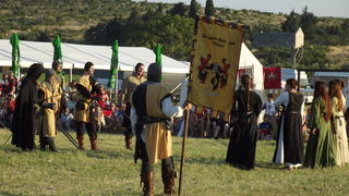 Dani vitezova vranskih, 19. srpnja 2014.