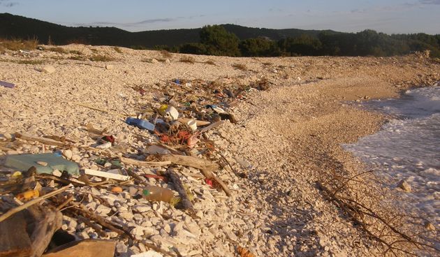 Saharun, Dugi otok, onečišćenje (Foto: M. Babajko)